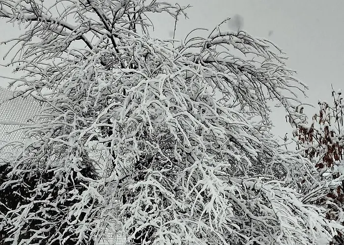 Hotel Panorama Prespes *